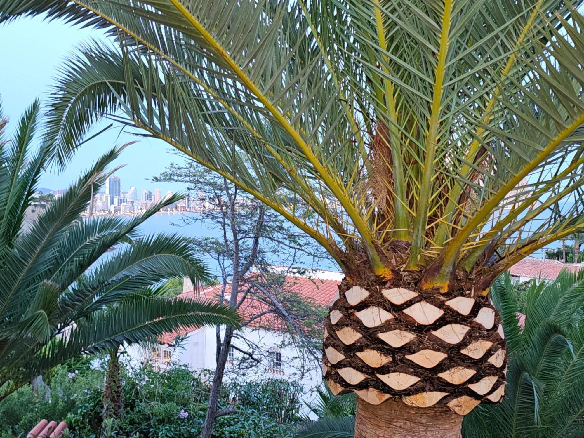 Appartement Casa Veintiuno En Calp Extérieur photo